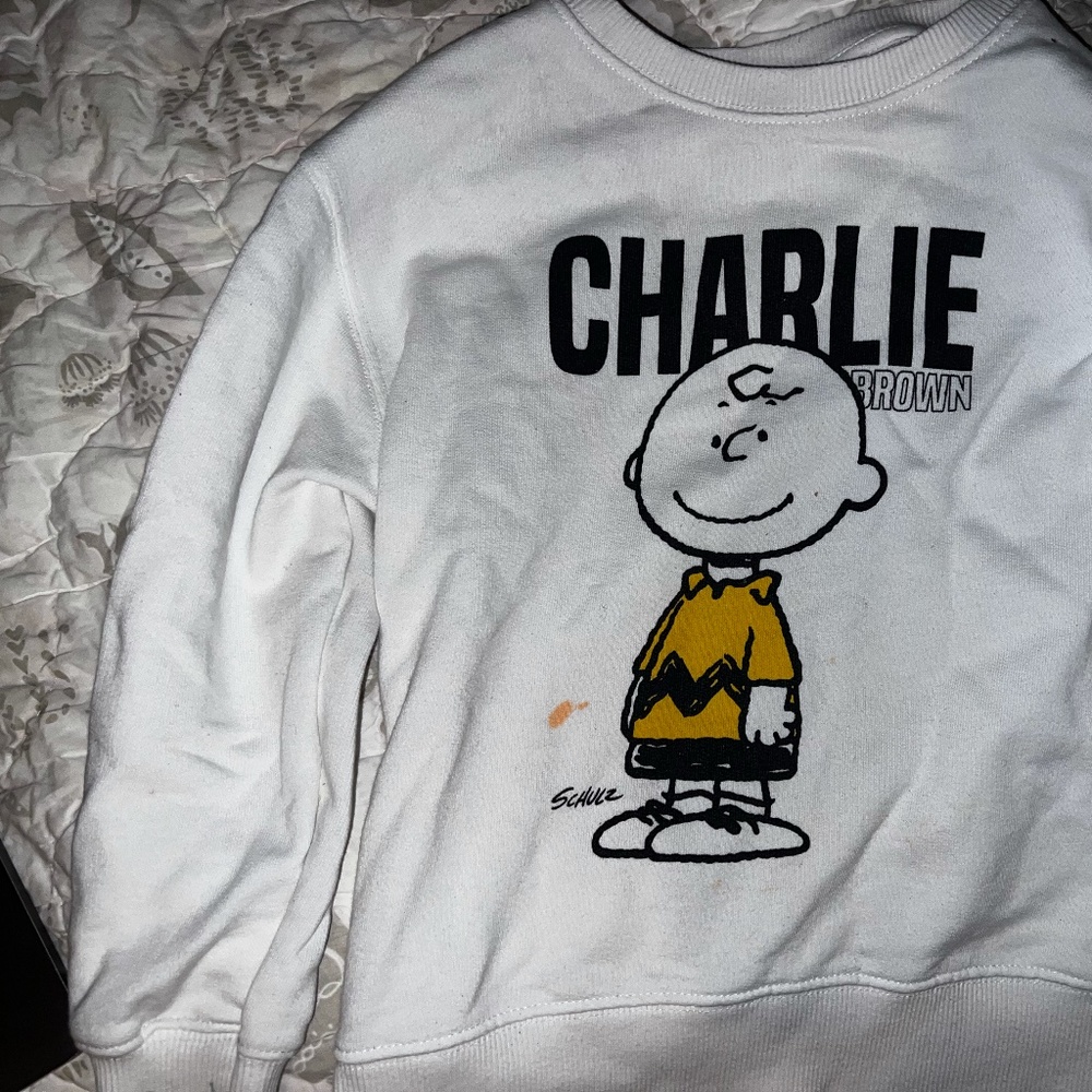 ZARA BOYS PEANUT SWEATSHIRT